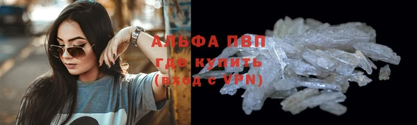 сатива Абинск