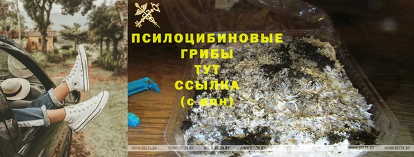 сатива Абинск