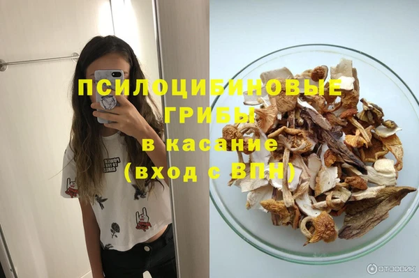 шишки Абдулино
