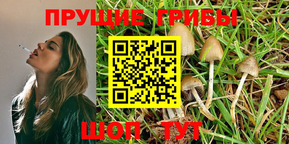 Галлюциногенные грибы MAGIC MUSHROOMS Ялуторовск