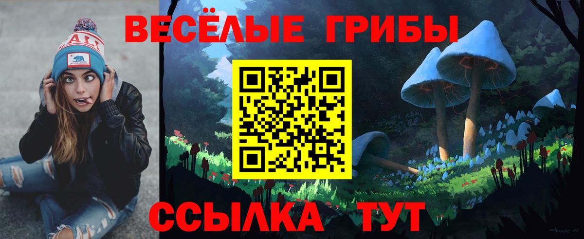 где можно купить наркотик  Вход с VPN  Ялуторовск  Псилоцибиновые грибы Cubensis 
